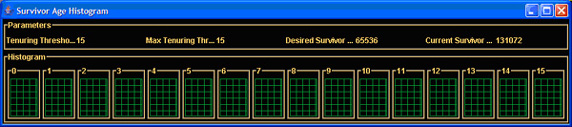 展示关于 Survivor 空间的数据的直方图窗口