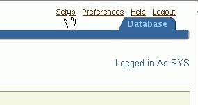 Oracle 10g学习手册1:证书的验证一(图)(图五)