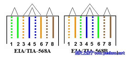 组网之初 全图教你搞定RJ45接头网线DIY（1）（图二）