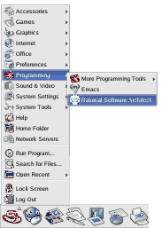 ���� Software Architect