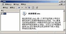 图文并茂教你安装配置DNS服务器(图三)