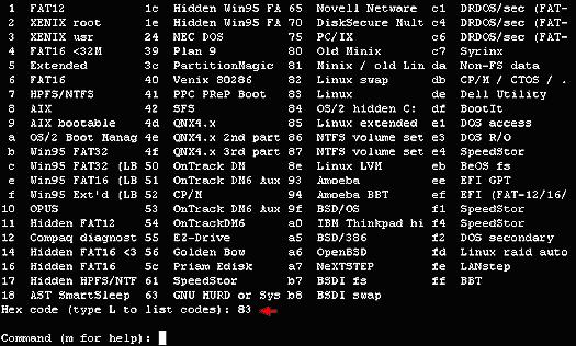 Linux 分区管理(图十)