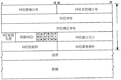 TCP的首部(图二)