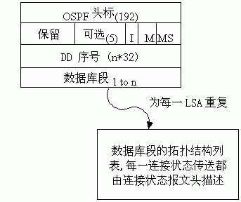 OSPF报文的具体格式怎样?(图四)