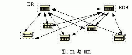 OSPF路由协议中的邻居与邻接(图一)