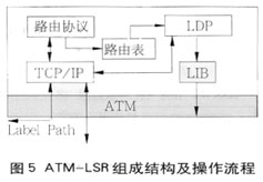 多协议标签交换技术(2)(图二)