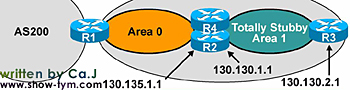 OSPF路由协议综述及其配置(3)(图七)