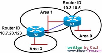 OSPF·��Э��������������(5����ͼ�ߣ�