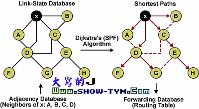 OSPF路由协议综述及其配置(1)(图二)