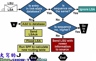 OSPF路由协议综述及其配置(1)(图三)