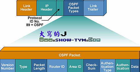 OSPF路由协议综述及其配置(1)(图四)