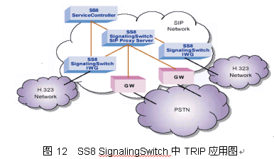 TRIP--IP�绰·�ɵļ�����Ӧ�ã�ͼʮ��
