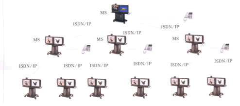 �״�����֮һ��MultiSite TF��ͼ����