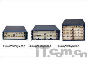 多业务高端路由器的组网解决方案(图)(图二)