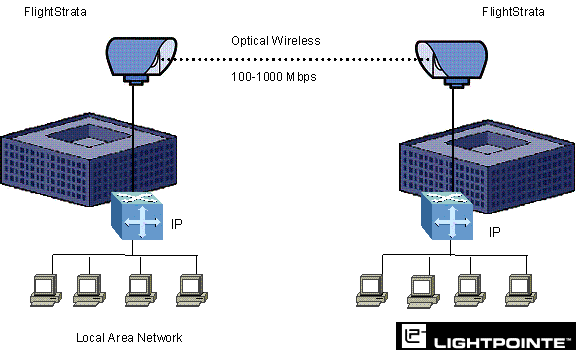 ���߹���: <STRONG><A href=