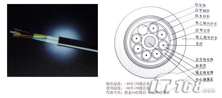 ����԰�������� רҵ�ȶ�����չ(��ͼ)��ͼ����