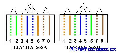 组网之初 全图教你搞定RJ45接头网线DIY(1)(图二)