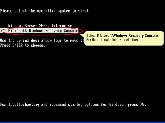 Windows2003使用恢复控制台(图九)