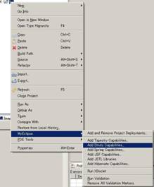 创建struts1.2&nbsp;+&nbsp;Hibernate3.0&nbsp;Web工程（图四）