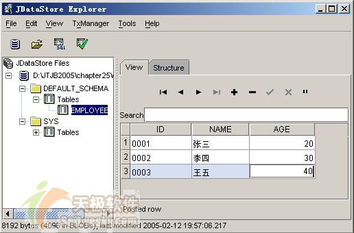 JBuilder2005<STRONG><A href=
