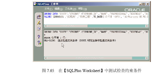 Oracle 9i 约束条件