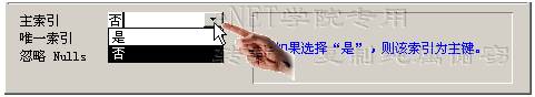 Access 创建索引（图六）