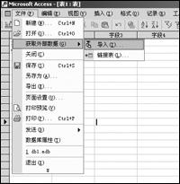 浅析Access与Office其他成员之间交流数据(图二)
