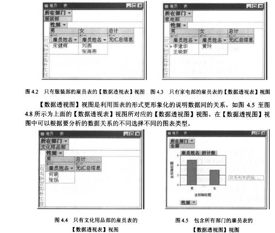 Access数据库技术（20)（图二）