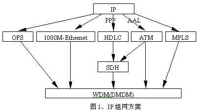 IP over X多种组网技术的原理和特点(图一)