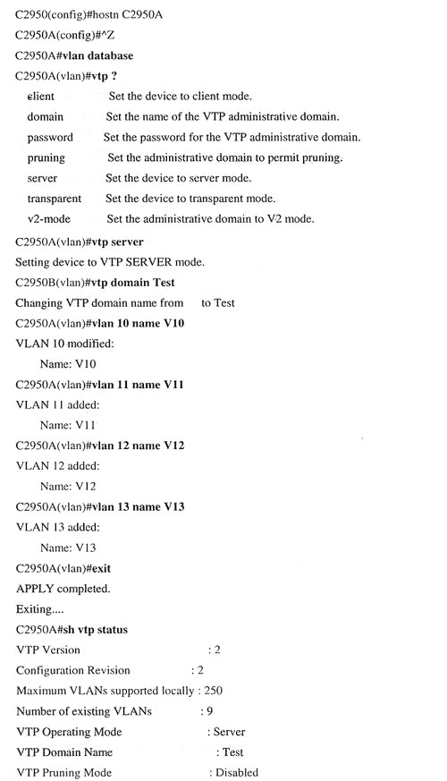配置 VTP.VLAN 和 VLAN Trunk（图二）