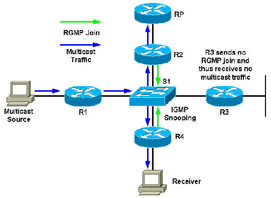 使用 RGMP: 基础内容与案例分析(图二)