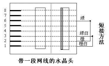 玩的就是“新奇” 单头网线也能“连网”!(图二)