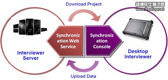 图 3. CAPI 系统架构图